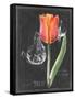 Chalkboard Flower III-Jennifer Parker-Framed Stretched Canvas