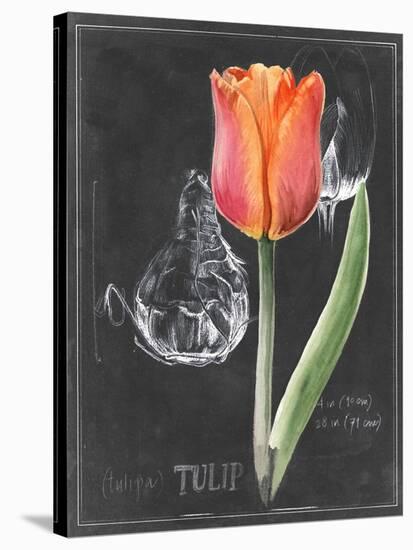 Chalkboard Flower III-Jennifer Parker-Stretched Canvas