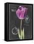 Chalkboard Flower IV-Jennifer Parker-Framed Stretched Canvas