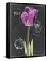 Chalkboard Flower IV-Jennifer Parker-Framed Stretched Canvas