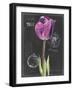 Chalkboard Flower IV-Jennifer Parker-Framed Art Print