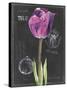 Chalkboard Flower IV-Jennifer Parker-Stretched Canvas