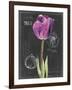 Chalkboard Flower IV-Jennifer Parker-Framed Art Print