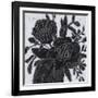 Chalkboard Garden I-June Vess-Framed Art Print