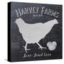 Chalkboard Hen-Stimson, Diane Stimson-Stretched Canvas