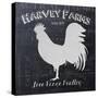 Chalkboard Poultry-Stimson, Diane Stimson-Stretched Canvas