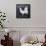 Chalkboard Poultry-Stimson, Diane Stimson-Framed Stretched Canvas displayed on a wall