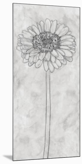 Chalky Gerbera-Belle Poesia-Mounted Giclee Print