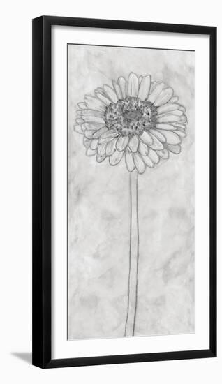 Chalky Gerbera-Belle Poesia-Framed Giclee Print