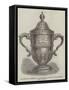 Challenge Cup Presented to the Belgian Riflemen by the National Rifle Association-null-Framed Stretched Canvas