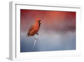 Challenged-Jai Johnson-Framed Giclee Print