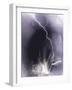 Challenger struck by lightning-Science Source-Framed Giclee Print