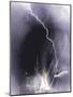 Challenger struck by lightning-Science Source-Mounted Giclee Print