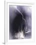 Challenger struck by lightning-Science Source-Framed Giclee Print