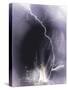 Challenger struck by lightning-Science Source-Stretched Canvas