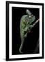 Chamaeleo Calyptratus (Veiled Chameleon)-Paul Starosta-Framed Premium Photographic Print