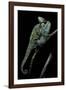 Chamaeleo Calyptratus (Veiled Chameleon)-Paul Starosta-Framed Photographic Print