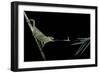 Chamaeleo Johnstoni (Johnston's Chameleon) - Capturing an Insect-Paul Starosta-Framed Photographic Print