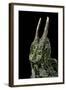 Chamaeleo Johnstoni (Johnston's Chameleon)-Paul Starosta-Framed Photographic Print