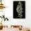 Chamaeleo Johnstoni (Johnston's Chameleon)-Paul Starosta-Framed Photographic Print displayed on a wall