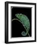 Chamaeleo Pardalis (Panther Chameleon)-Paul Starosta-Framed Photographic Print