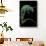 Chamaeleo Pardalis (Panther Chameleon)-Paul Starosta-Stretched Canvas displayed on a wall