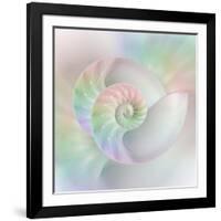 Chambered Nautilus Cutaway Shells on Colorful-Stela Knezevic-Framed Art Print