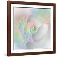 Chambered Nautilus Cutaway Shells on Colorful-Stela Knezevic-Framed Art Print