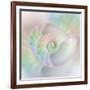 Chambered Nautilus Cutaway Shells on Colorful-Stela Knezevic-Framed Art Print