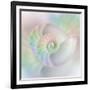 Chambered Nautilus Cutaway Shells on Colorful-Stela Knezevic-Framed Art Print