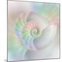 Chambered Nautilus Cutaway Shells on Colorful-Stela Knezevic-Mounted Art Print