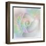 Chambered Nautilus Cutaway Shells on Colorful-Stela Knezevic-Framed Art Print