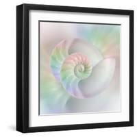 Chambered Nautilus Cutaway Shells on Colorful-Stela Knezevic-Framed Art Print