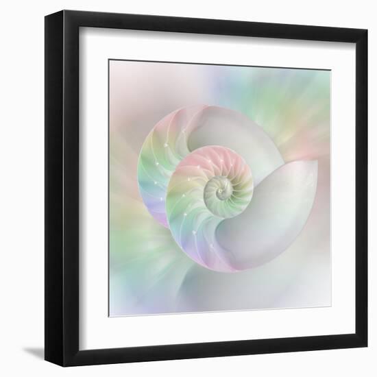 Chambered Nautilus Cutaway Shells on Colorful-Stela Knezevic-Framed Art Print