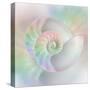 Chambered Nautilus Cutaway Shells on Colorful-Stela Knezevic-Stretched Canvas