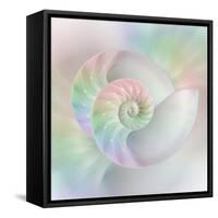 Chambered Nautilus Cutaway Shells on Colorful-Stela Knezevic-Framed Stretched Canvas