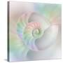 Chambered Nautilus Cutaway Shells on Colorful-Stela Knezevic-Stretched Canvas