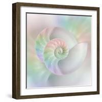 Chambered Nautilus Cutaway Shells on Colorful-Stela Knezevic-Framed Art Print