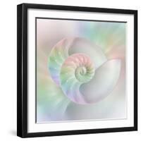 Chambered Nautilus Cutaway Shells on Colorful-Stela Knezevic-Framed Art Print