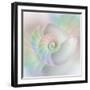 Chambered Nautilus Cutaway Shells on Colorful-Stela Knezevic-Framed Art Print