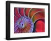 Chambered Nautilus in Colored Light-James L. Amos-Framed Premium Photographic Print