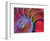 Chambered Nautilus in Colored Light-James L. Amos-Framed Premium Photographic Print
