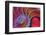 Chambered Nautilus in Colored Light-James L Amos-Framed Photographic Print