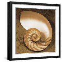 Chambered Nautilus-Caroline Kelly-Framed Photo