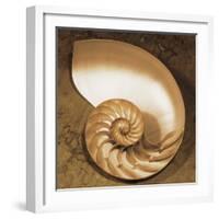 Chambered Nautilus-Caroline Kelly-Framed Photo