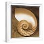 Chambered Nautilus-Caroline Kelly-Framed Photo