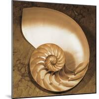 Chambered Nautilus-Caroline Kelly-Mounted Photo