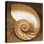 Chambered Nautilus-Caroline Kelly-Stretched Canvas