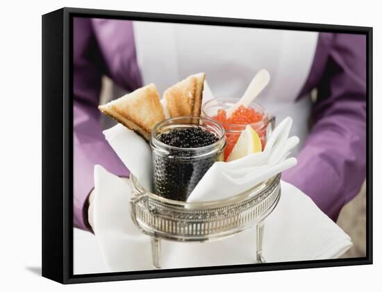 Chambermaid Serving Caviar and Toast-null-Framed Stretched Canvas