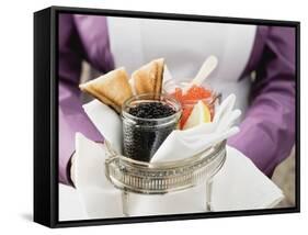 Chambermaid Serving Caviar and Toast-null-Framed Stretched Canvas